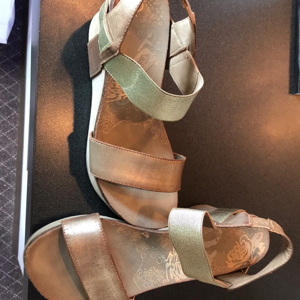 Otbt wedges